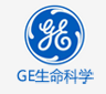 GE